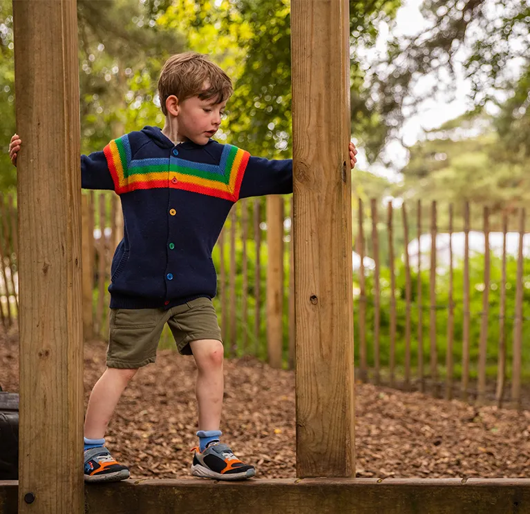 Climbing frames for your garden image